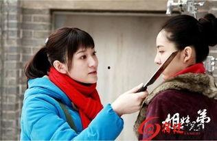 电视剧姐妹兄弟在线观看,情感纠葛，命运交织的家族传奇  第3张