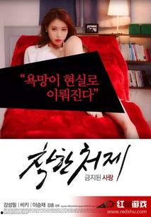 日本一圾片在线观看,在线观看背后的真相与争议